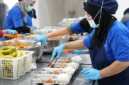 PROGRAM NASIONAL: Petugas dapur SPPG sedang menyajikan makanan. (radarpantura.id/istimewa)