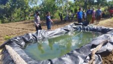 MENGGEGERKAN: Polisian mmelakukan olah TKP penemuan mayat petani tembakau di Dusun Tanjung, Desa Gedang-Gedang, Kecamatan Batuputih, Sumenep, Selasa (30/6). (Polres Sumenep for Radarpantura.id) 