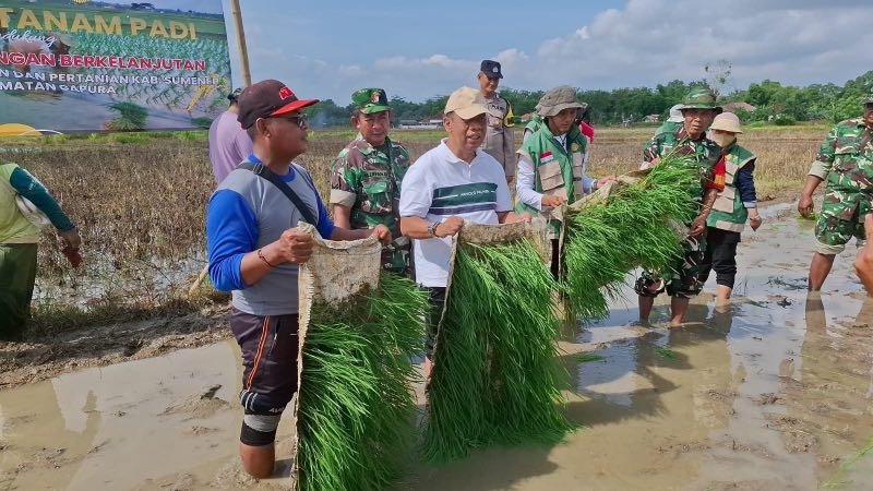BERKOLABORASI: Kepala DKPP Sumenep, Chainur Rasyid (kaos potih) menghadiri kegiatan penanaman padi. (DKPP Sumenep for Radarpantura.id)